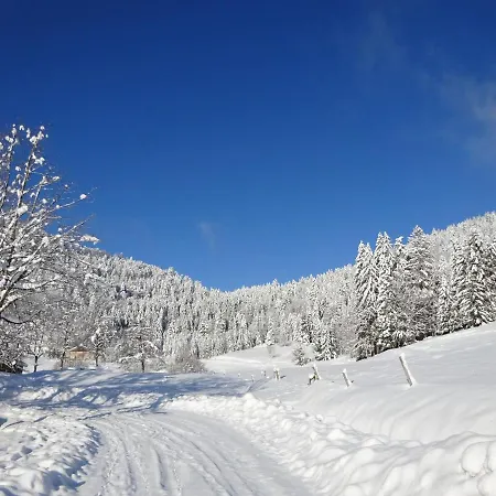 Gite Les Sapins * بوسانغ